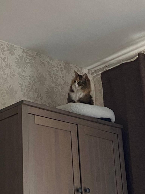 FEF44108-2D6F-4EC7-BDE6-561671DE64D7