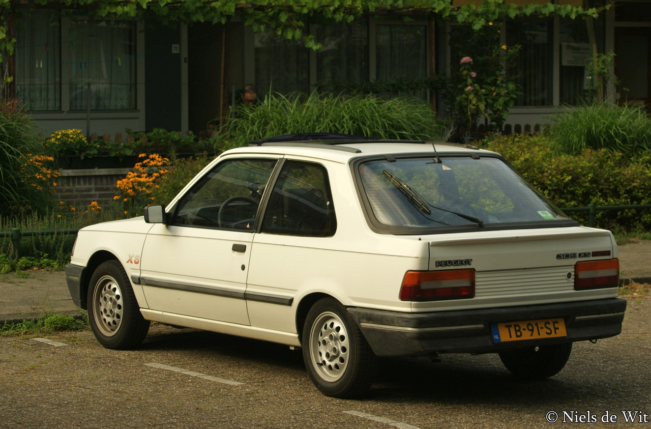 1988-Peugeot-309-XS-Injection-(9530012049).jpg
