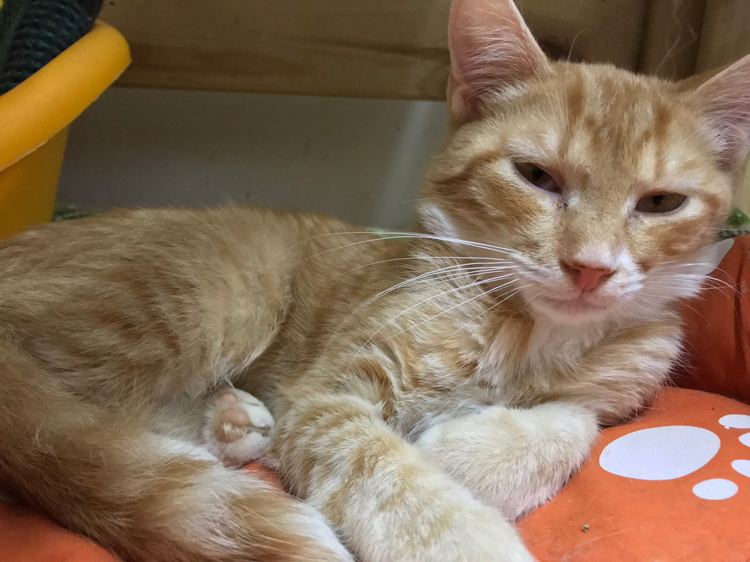 971C8EBF-4004-4D60-8CF1-E01DBD3AC505