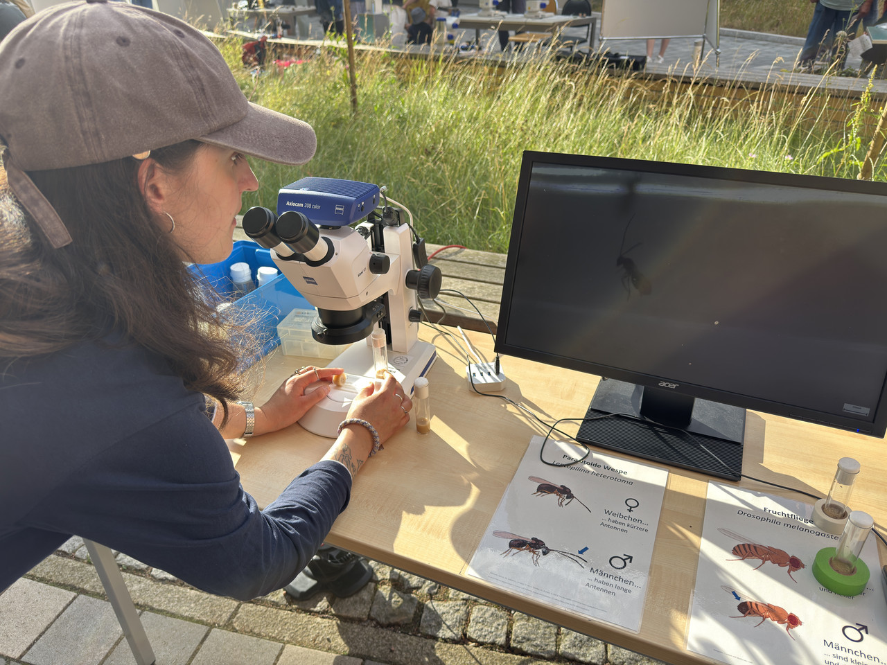 Fieldwork photo 3