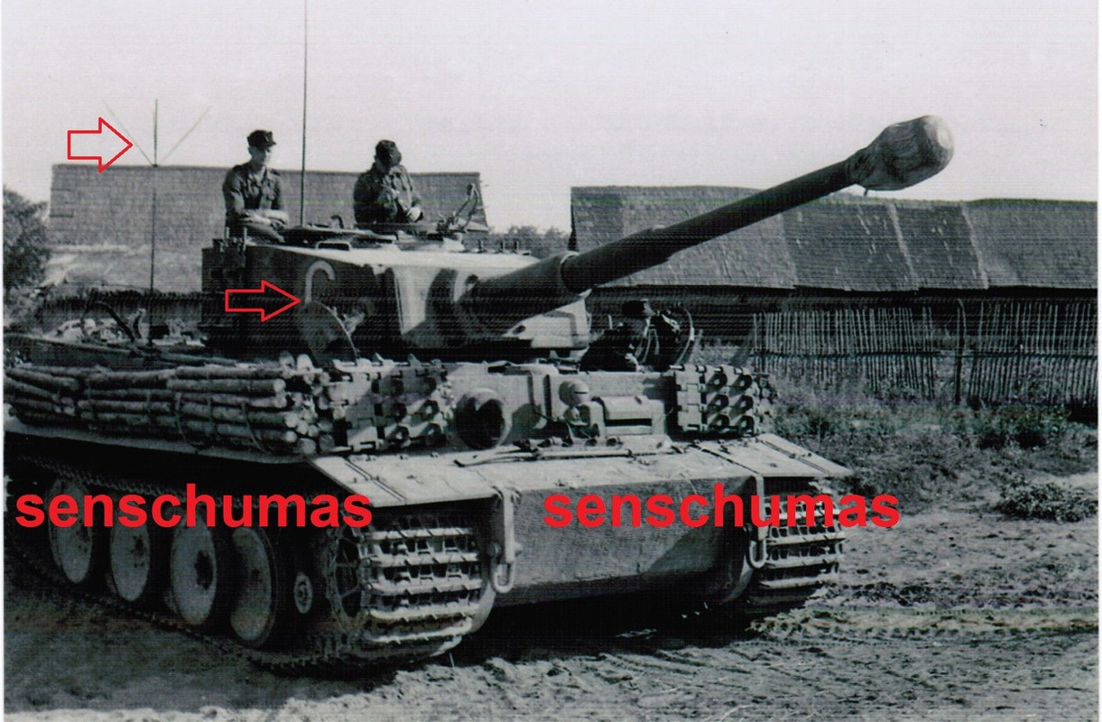 Befehls-Tiger. schw. Panz.-Abt. 507. Kavallerie-