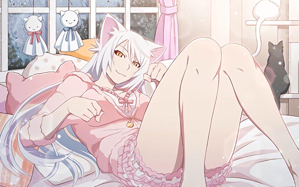 black-hanekawa-and-hanekawa-tsubasa-monogatari-series-07e701d