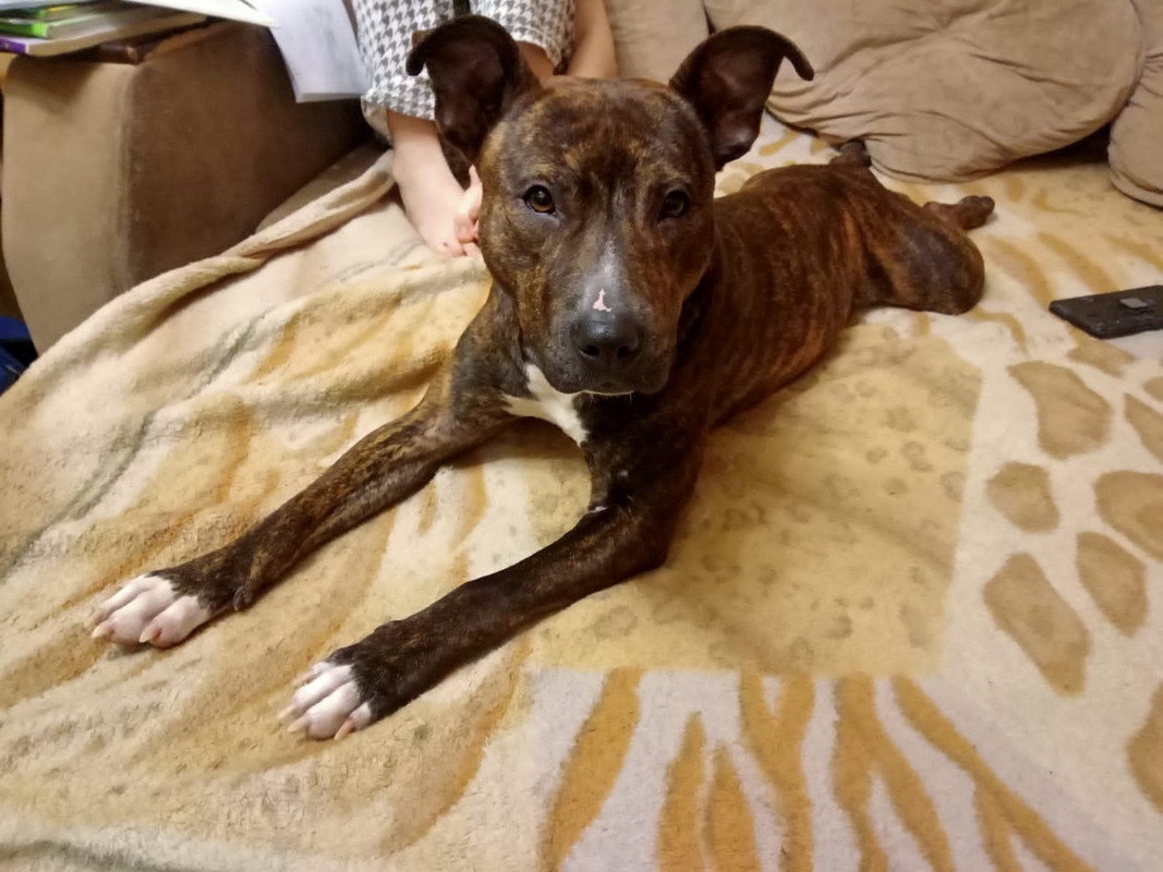 1290493F-F80E-4CB4-813F-612E13EC34EE