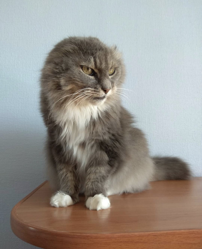 C080ED73-B27A-4EC7-A88E-E8F576722228