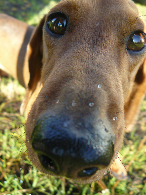 [Image: P1240520.jpg]