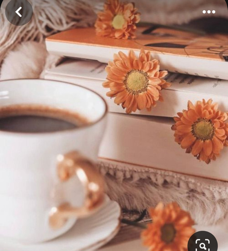 Screenshot_20230905_015539_Pinterest