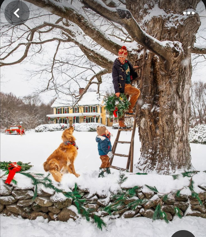 Screenshot_20231125_212614_Pinterest