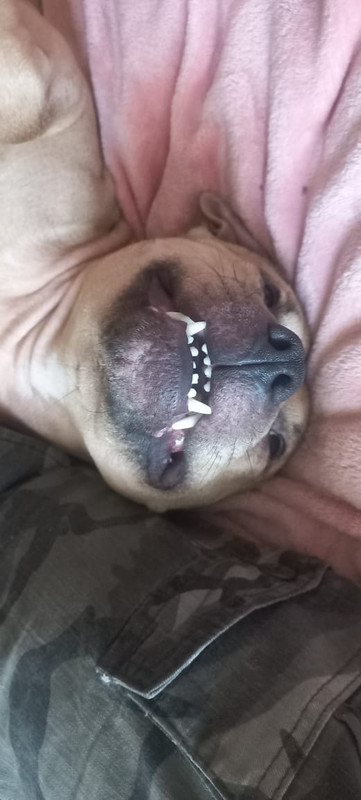 7E668382-82A1-46A7-A943-66BC385E8C76