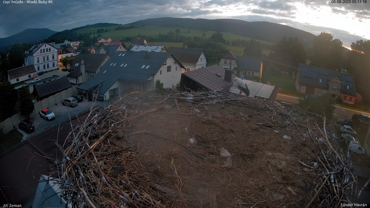 Živá kamera - Mladé Buky - čapí hnízdo 4K 12-13-18 screenshot