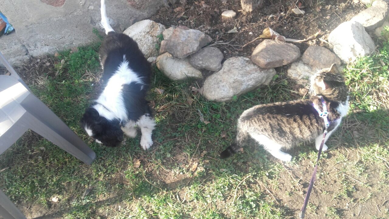 7AE03183-2A90-4EBF-8DFB-18362754A11D