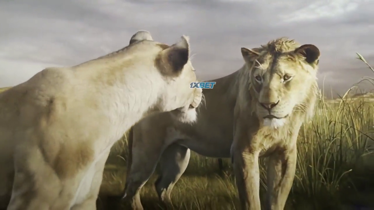 Mufasa: The Lion King 2024 Hindi Dubbed HDTC 