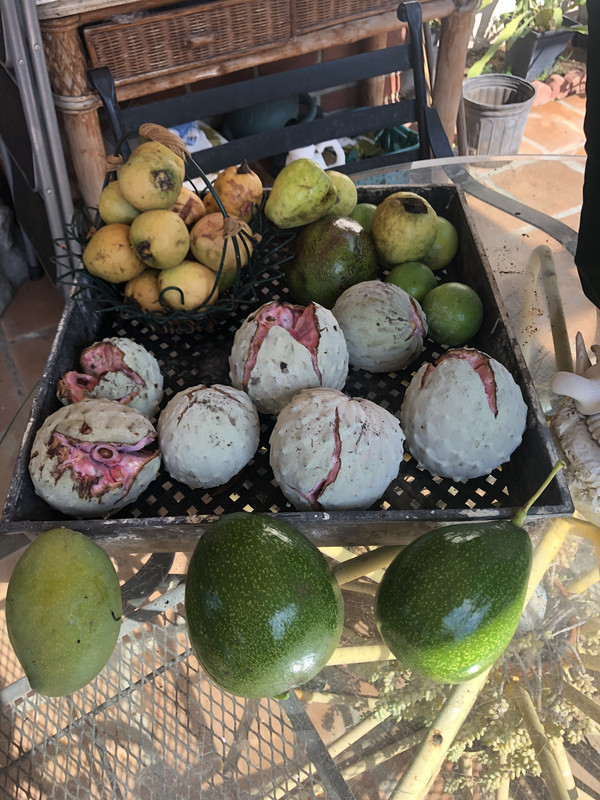 0C72E6FC-87CE-4AE3-B84A-1CA735706DC1