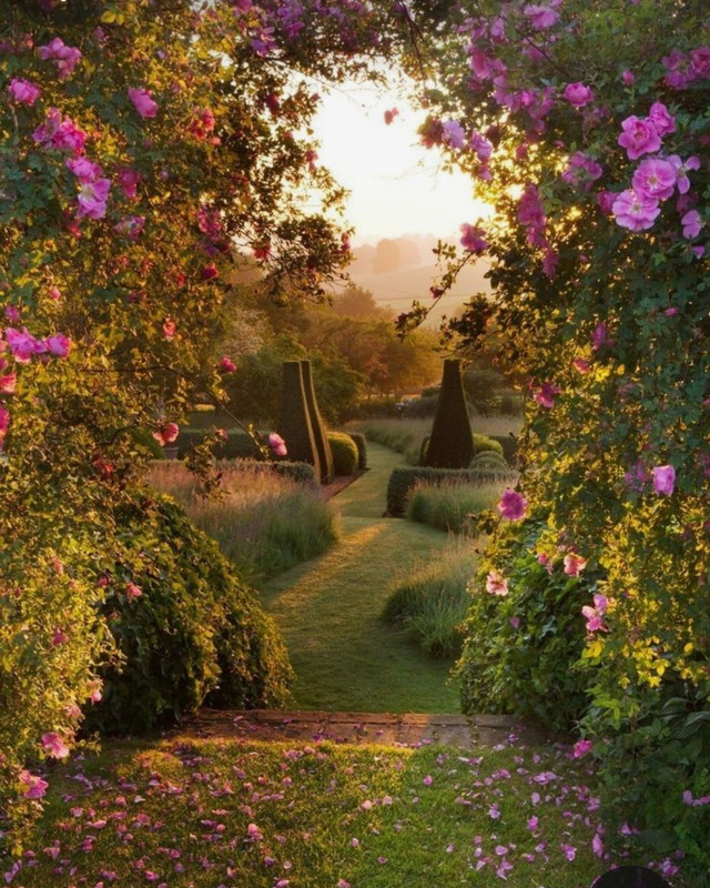 Screenshot_20240204_175815_Pinterest