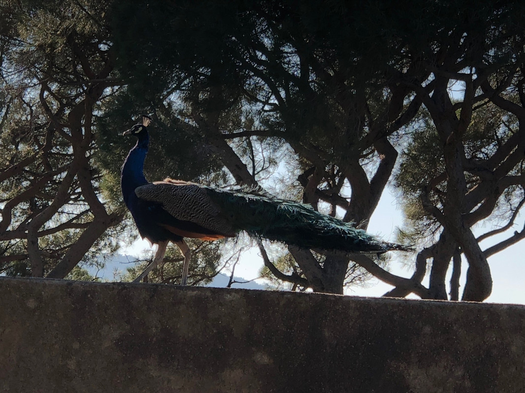 3FA5C64D-24B1-48A1-8E73-EE6D8B8213B8