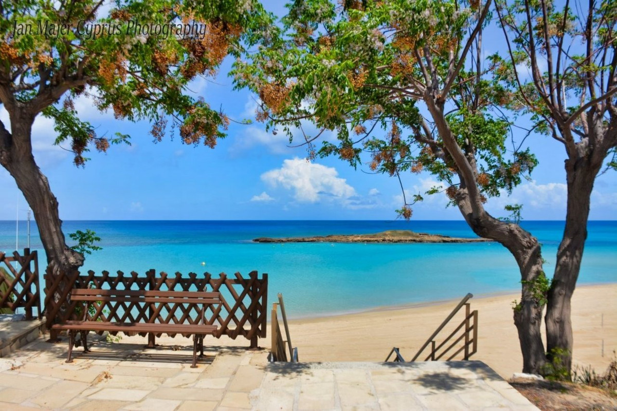 fig-tree-bay-3
