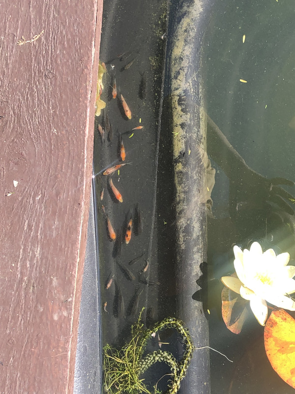 F23B2DF6-B8F5-4E64-85B9-1840EE2FB0DF