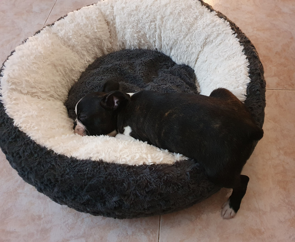 86BC6700-1F6D-41AD-8287-D56D8CC66A5A