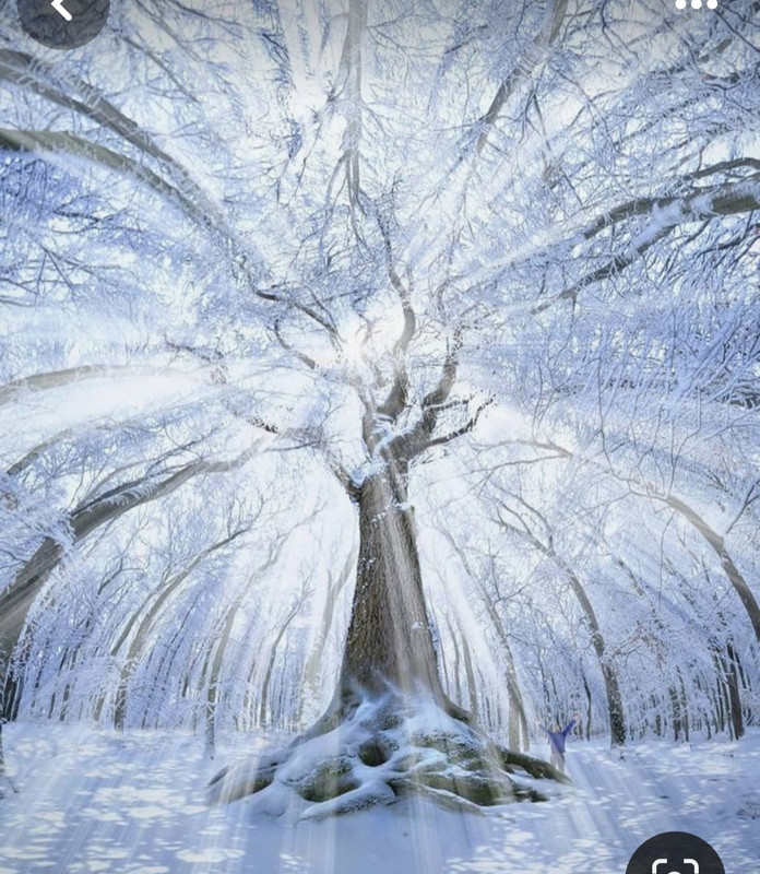 Screenshot_20240126_143420_Pinterest