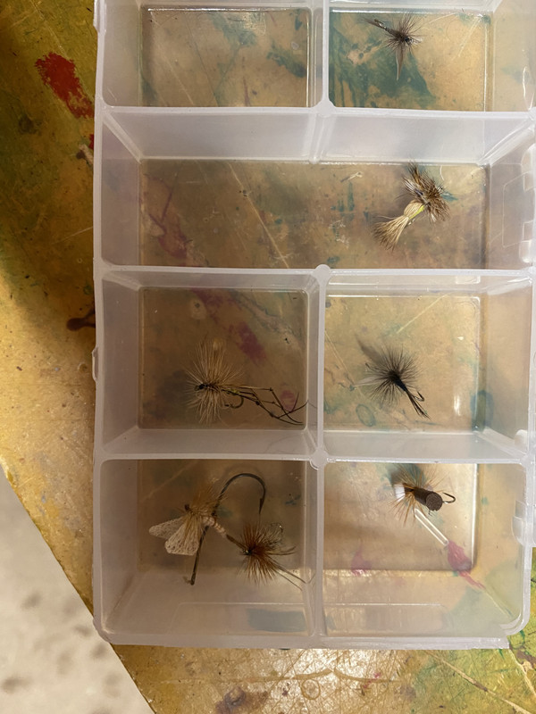 A0A69B12-4F1C-4BEB-BF8B-4599F168B42D