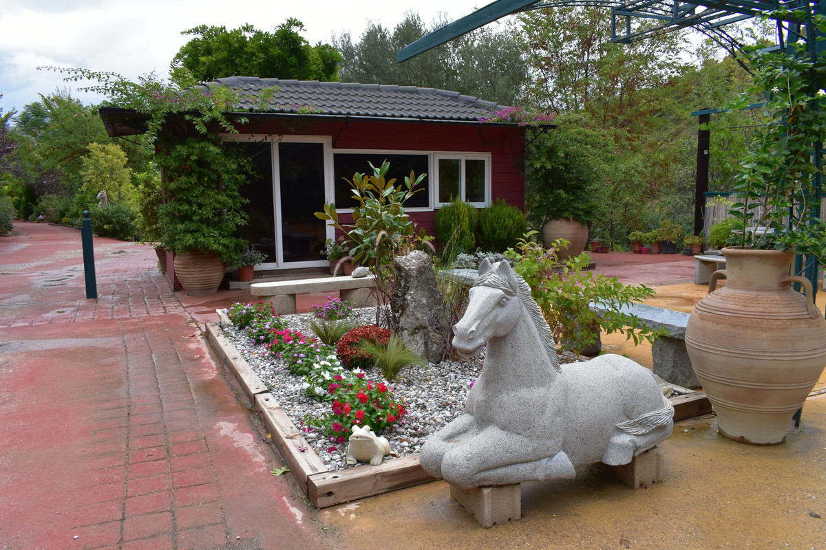 Βοτανικός Κήπος