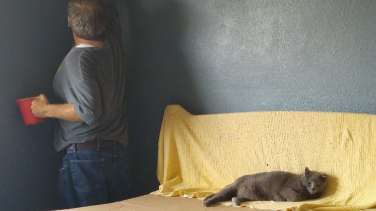 Фотографии, которые случайным образом выглядят как картины эпохи ренессанса