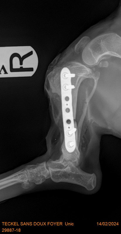 [Image: 29887-18-TECKEL-SANS-DOUX-FOYER-Unic-13382.jpg]