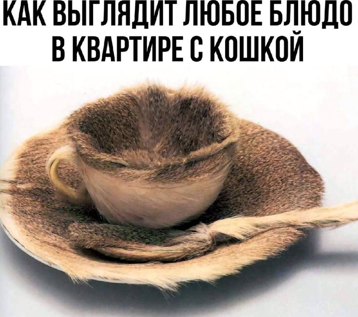 [Изображение: dbe75ae5ae55c6e953a5b520ed4ce376.jpg]