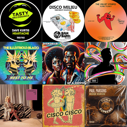 Nu-Disco: Din Jay, Ella Guru, Haywyre, Verrush, Disco Milieu (2025)