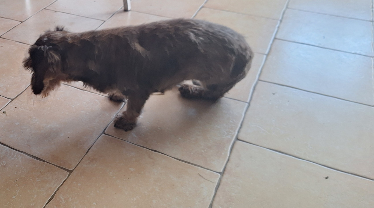 [Image: 20250529-095313.jpg]