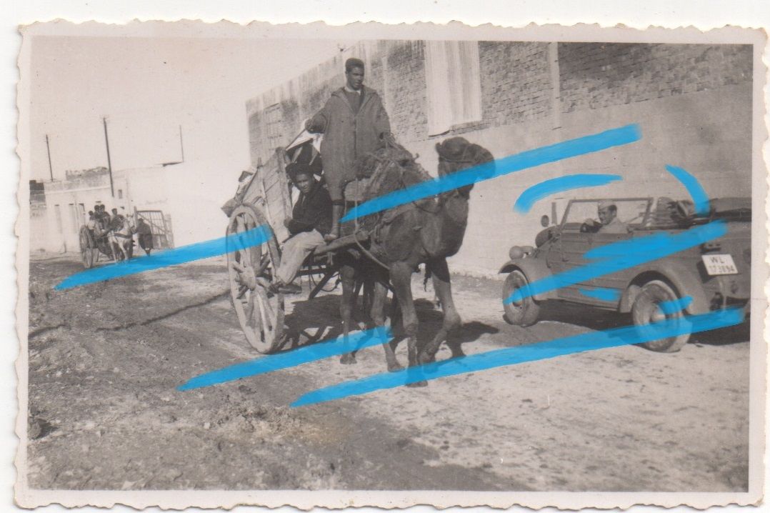 Orig foto. Afrikakorps DAK Kamel Bevölkerung Luf