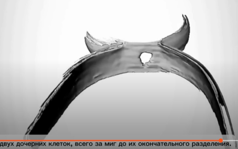 https://i.postimg.cc/MTk5Ltxt/9e114d7e484d499eb7dfec8dbf92182b.jpg
