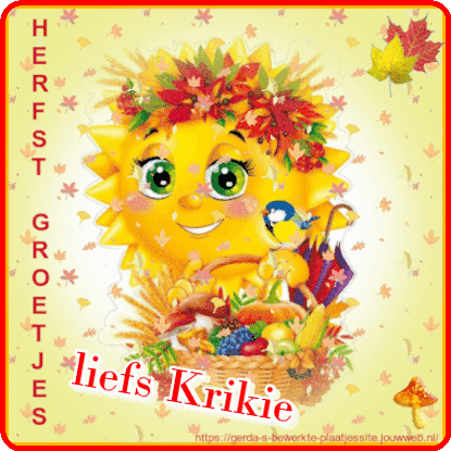 blogjes-13nov.gif