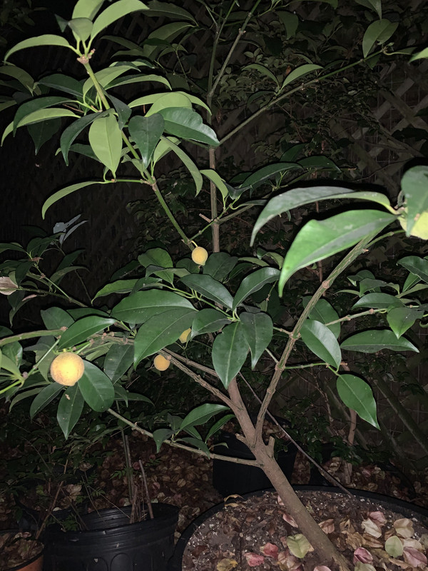 9C2F453B-B137-45BD-AA93-AA55BEA6D6E6