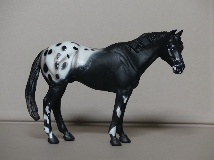 Pictures for Toy Animal Wiki - Page 14 Appaloosa-Stallion-Black