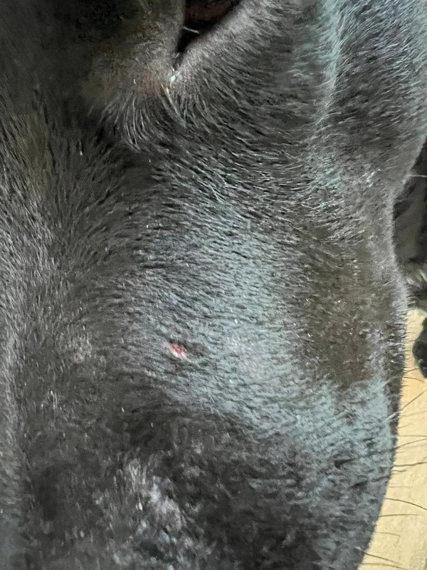 F4C48341-A1FD-40C6-A926-9E50F24889B5