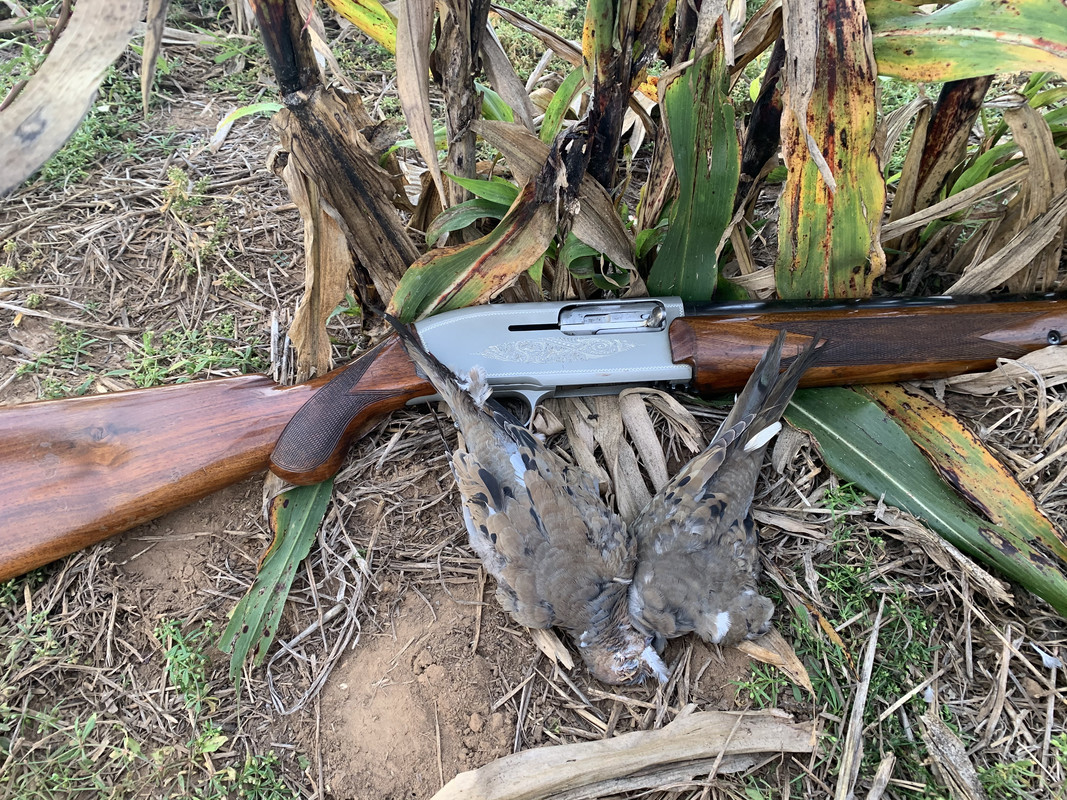 527FD1AA-68CF-4A57-AA35-DF13F0BDC096