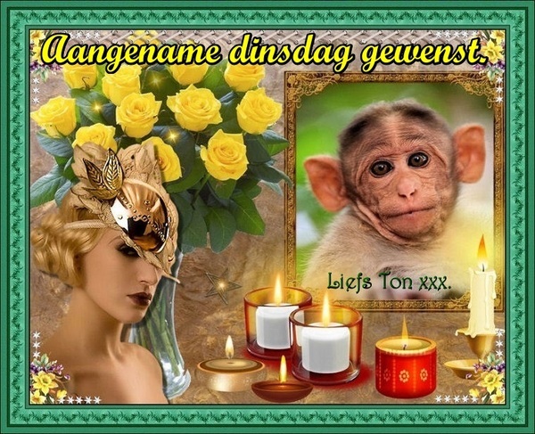 www.krabbelplaatjes.com