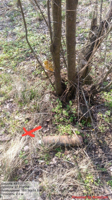 photo 2026 03 24 10 44 22