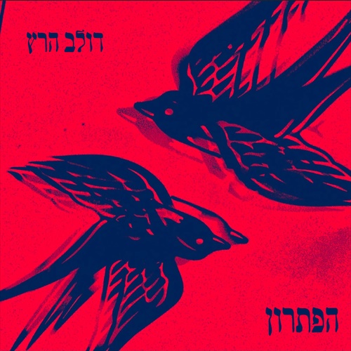 תמונה