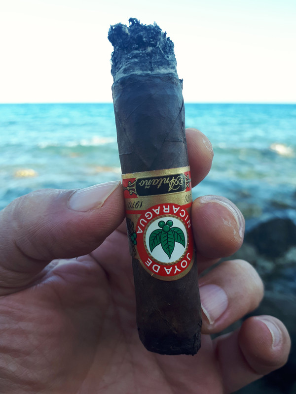 50055011297_8c4488b984_o