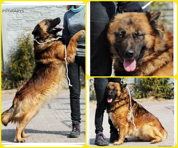 BeFunky-collage (11)