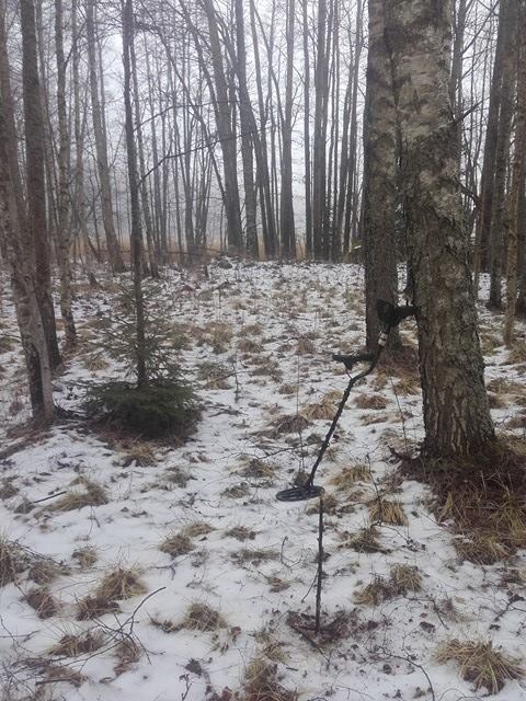 16344346_1251869268232953_391751913_n