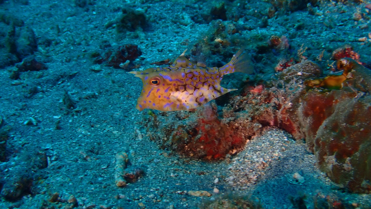 97C05554-C90A-42E7-8063-7FD3E22CD9DD