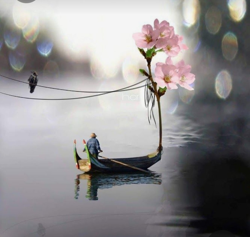 Screenshot_20230409_225743_Pinterest