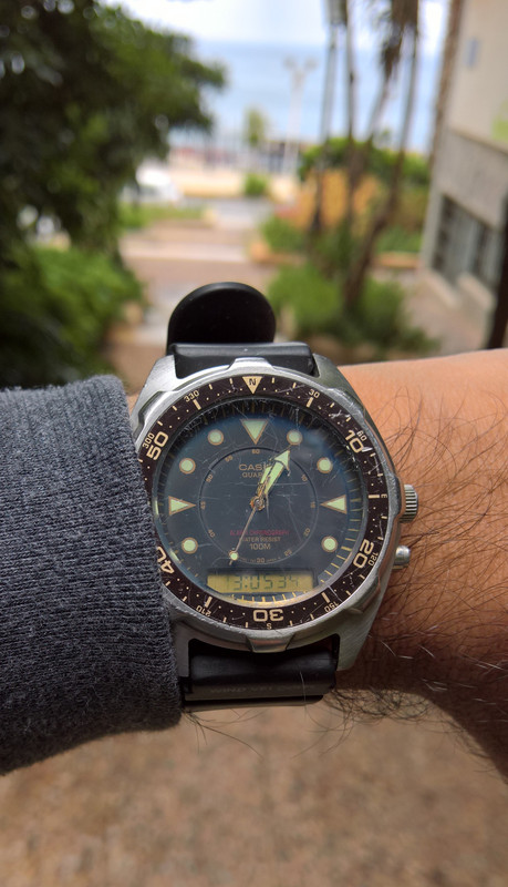 WP_20190514_13_04_41_Pro_LI (2)