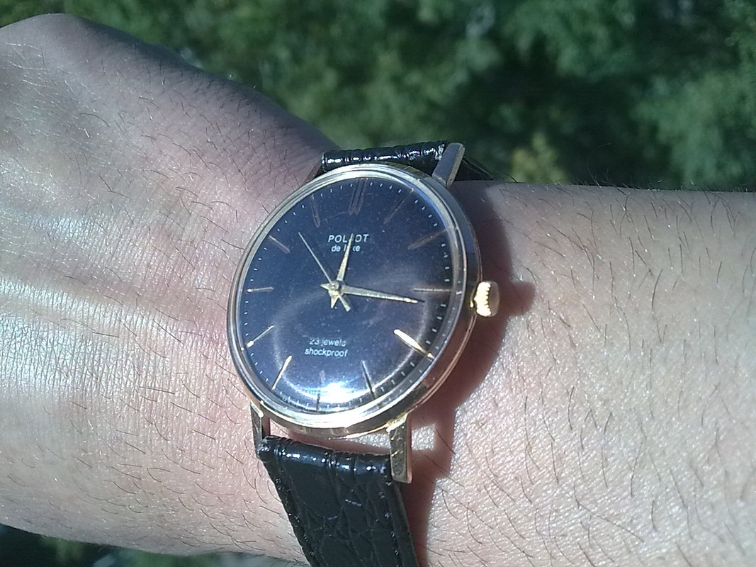 Изображение1786