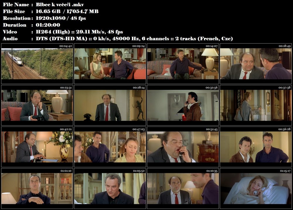 Re: Blbec k večeři / Diner de cons, Le (1998)