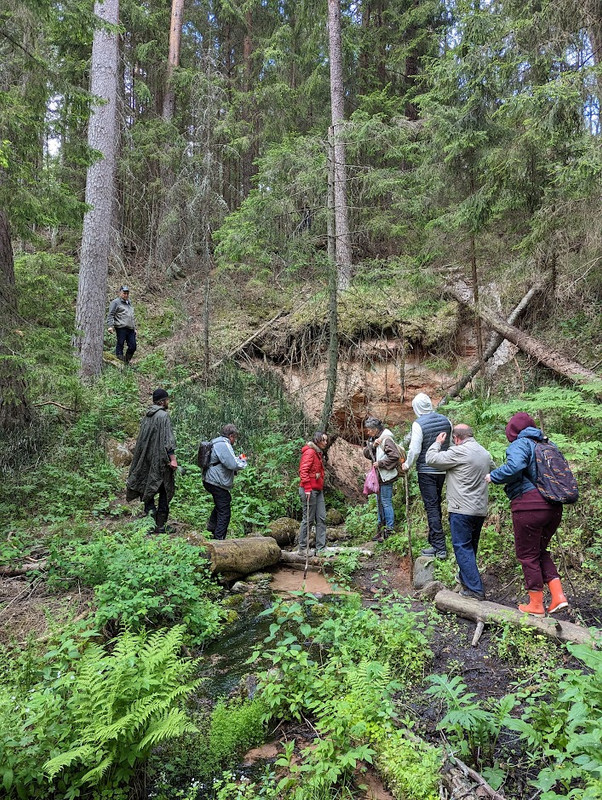 PXL_20230603_115241429