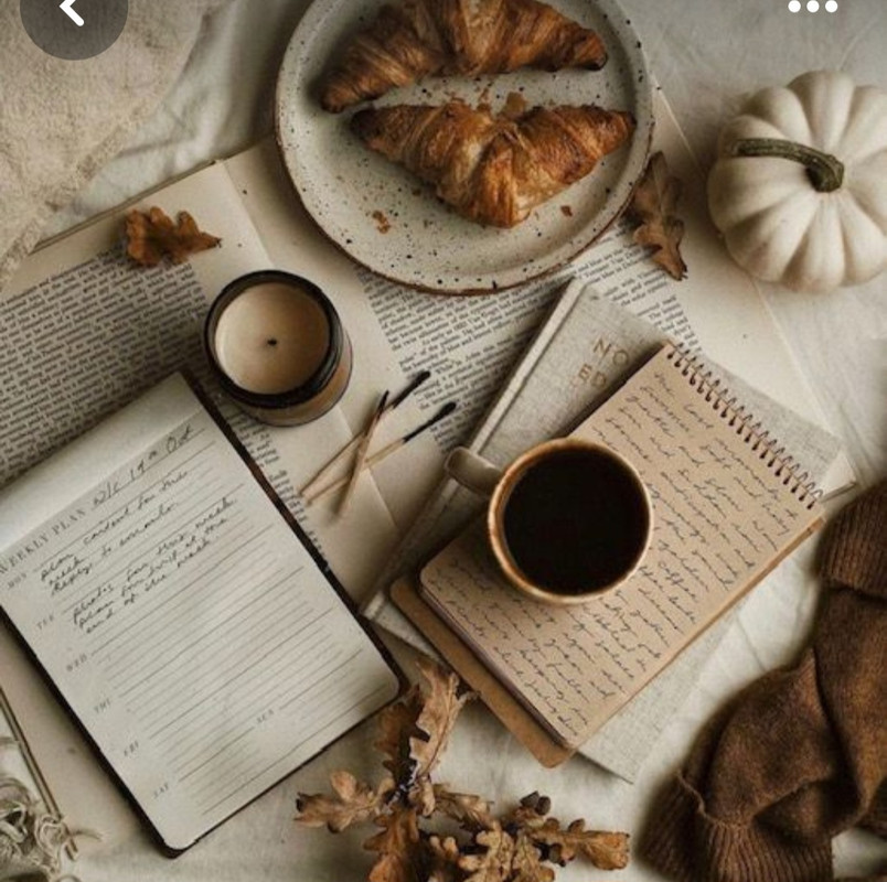 Screenshot_20240706_221755_Pinterest