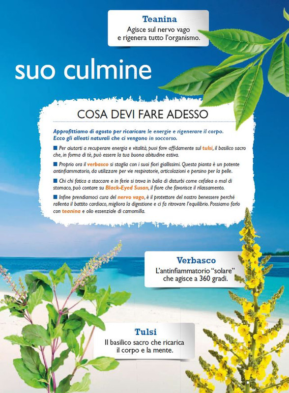 Sal Nat Ago 2025 (2)